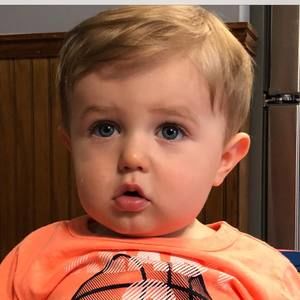 Meet your Posher, Ginger